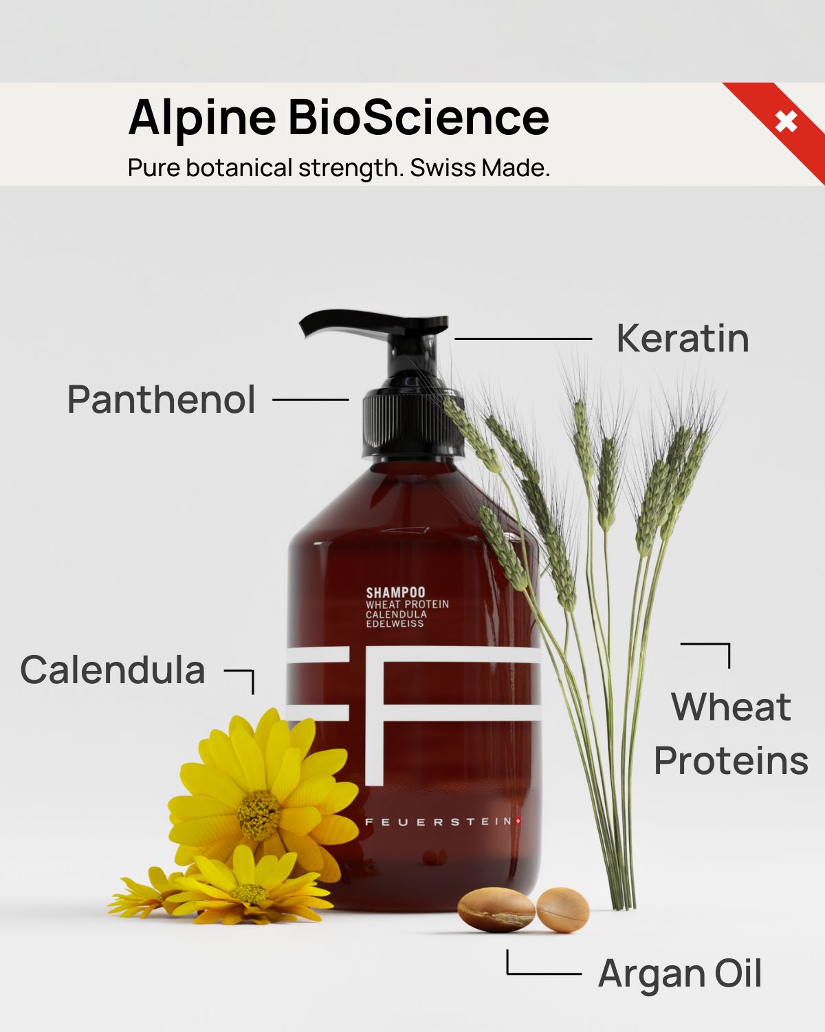 Shampooing - Shampooing pour cheveux