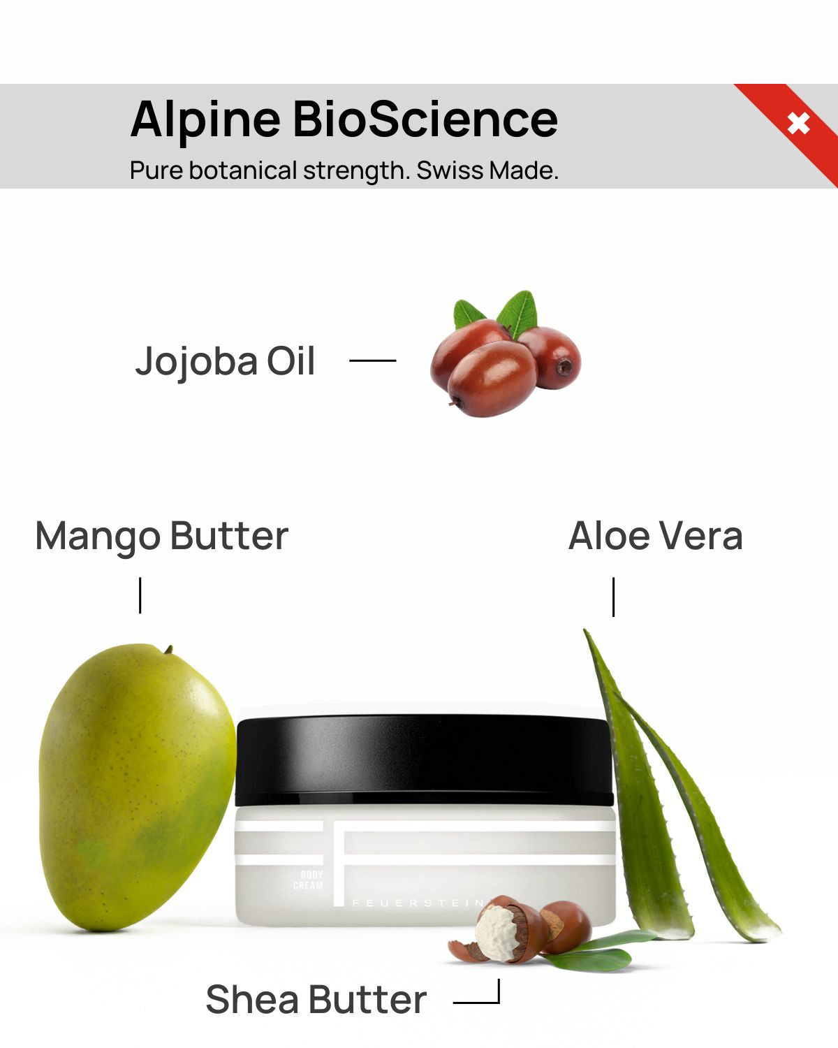 Silken Skin Duet - Crème exfoliante et crème pour le corps