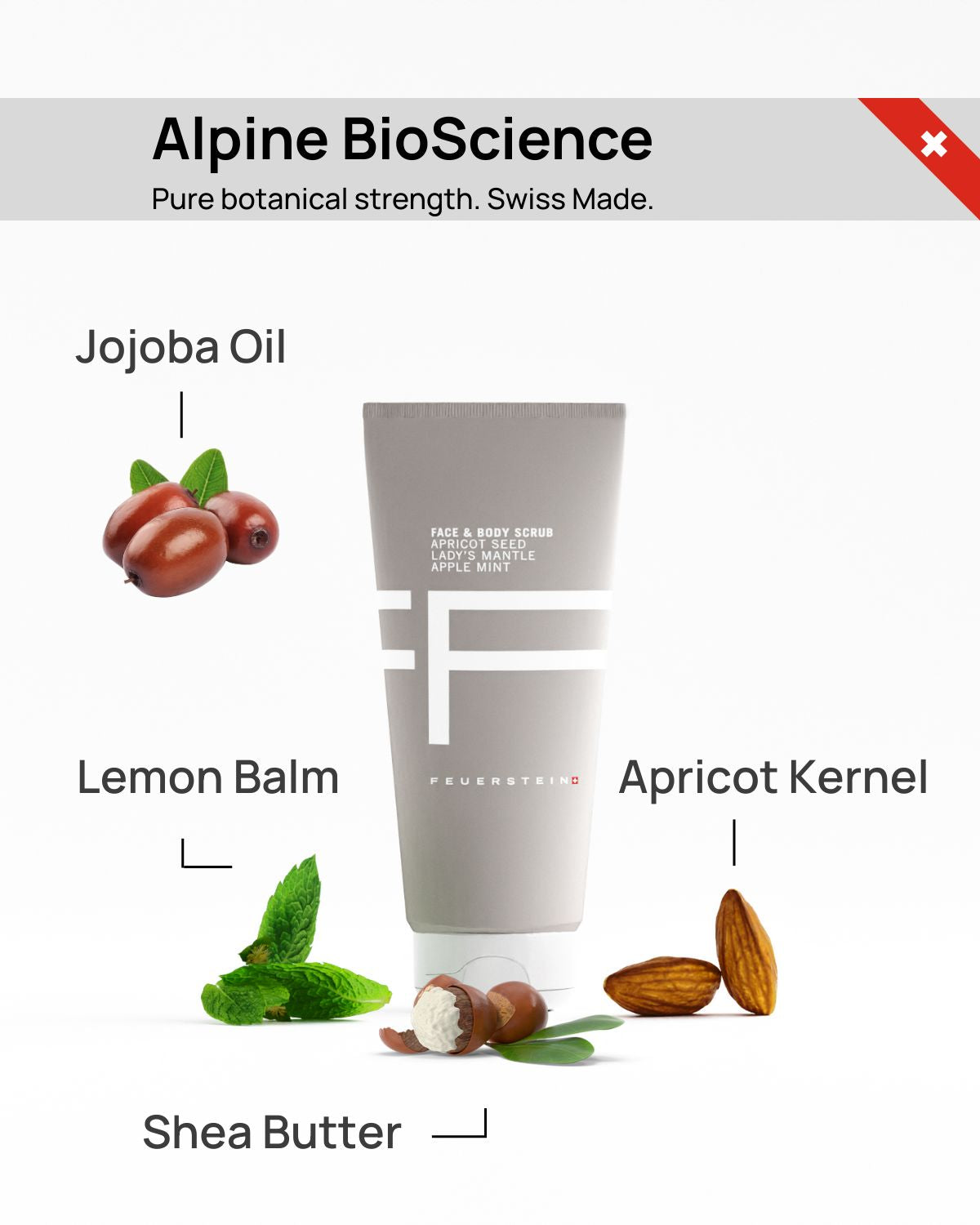 Silken Skin Duet - Crème exfoliante et crème pour le corps