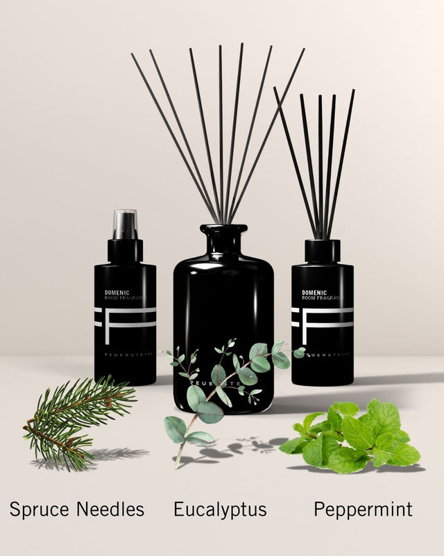 Parfum d'ambiance Domenic 100ml