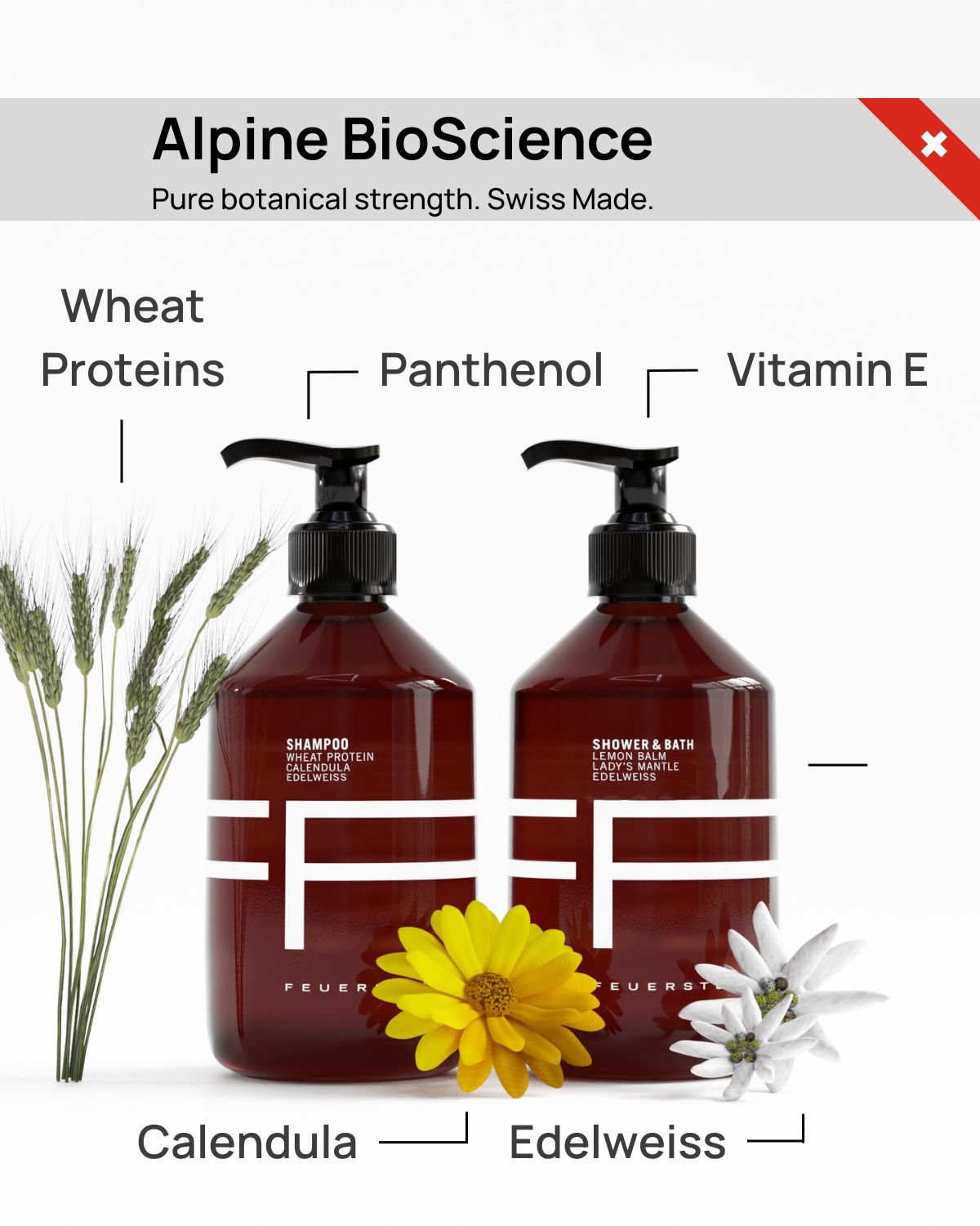 Shampoo & Shower Duet - Shampooing 500ml & Gel douche 500ml