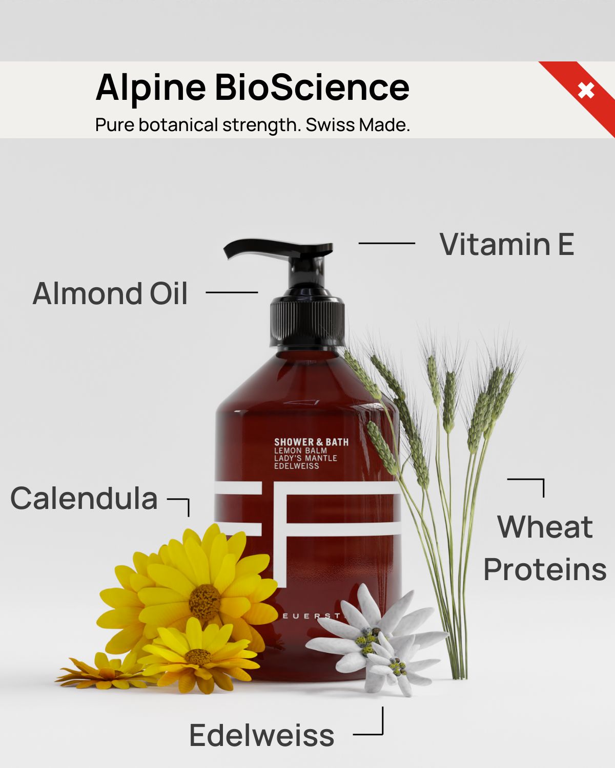 Shower & Bath - Gel douche