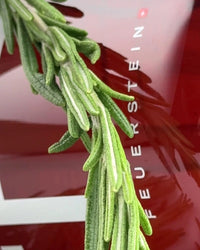 Hand & Body Wash - Savon pour les mains