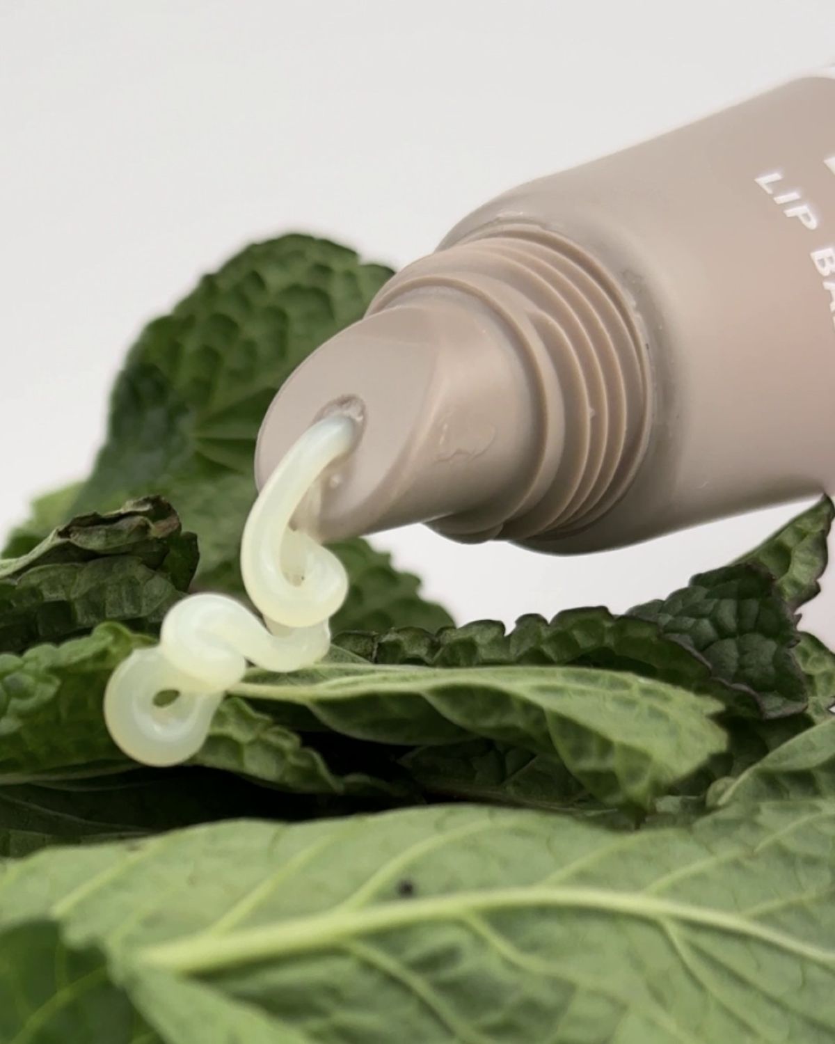 Baume à lèvres 10ml